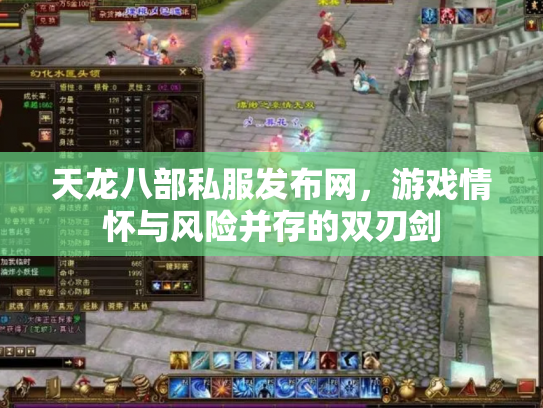 天龙八部私服发布网，游戏情怀与风险并存的双刃剑