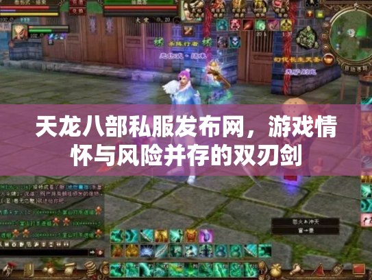 天龙八部私服发布网，游戏情怀与风险并存的双刃剑