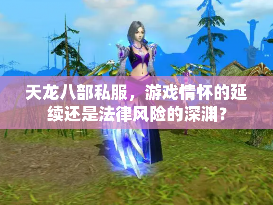 天龙八部私服，游戏情怀的延续还是法律风险的深渊？