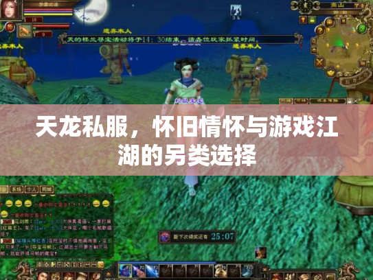 天龙私服，怀旧情怀与游戏江湖的另类选择