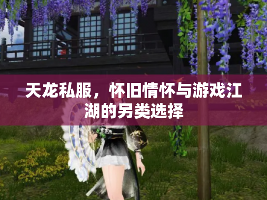 天龙私服，怀旧情怀与游戏江湖的另类选择