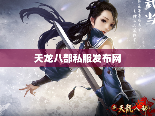 天龙八部私服发布网