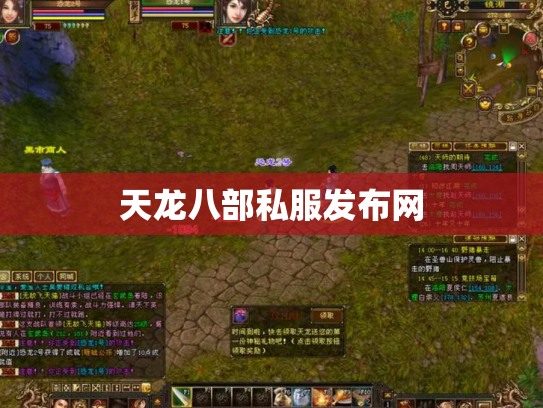 天龙八部私服发布网