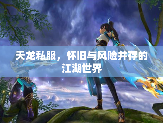 天龙私服，怀旧与风险并存的江湖世界