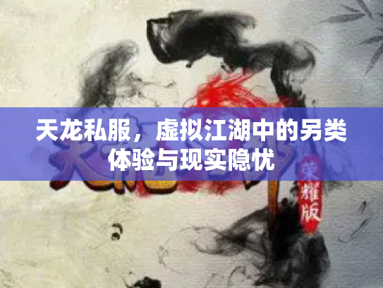 天龙私服，虚拟江湖中的另类体验与现实隐忧