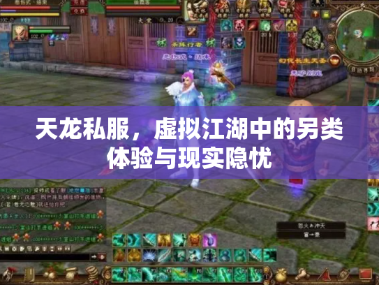 天龙私服，虚拟江湖中的另类体验与现实隐忧