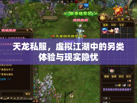天龙私服，虚拟江湖中的另类体验与现实隐忧
