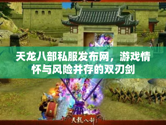 天龙八部私服发布网，游戏情怀与风险并存的双刃剑