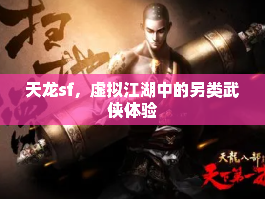 天龙sf，虚拟江湖中的另类武侠体验