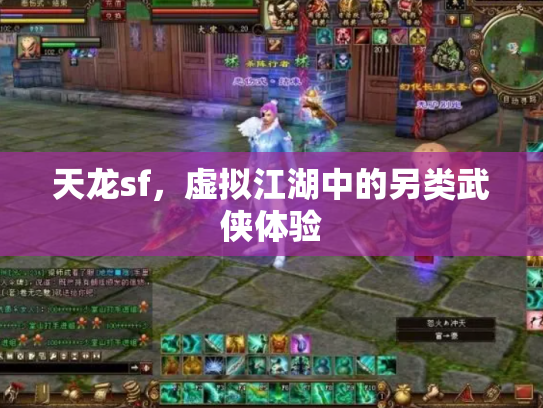 天龙sf，虚拟江湖中的另类武侠体验