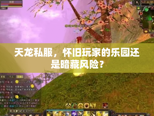 天龙私服，怀旧玩家的乐园还是暗藏风险？
