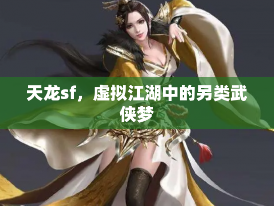天龙sf，虚拟江湖中的另类武侠梦
