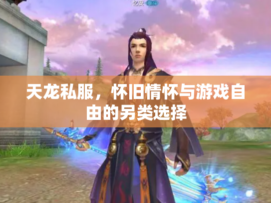 天龙私服，怀旧情怀与游戏自由的另类选择