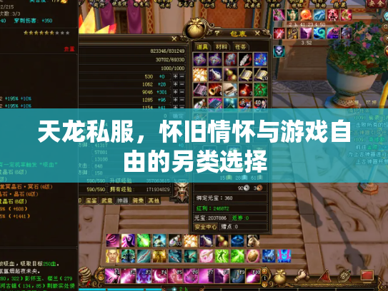 天龙私服，怀旧情怀与游戏自由的另类选择