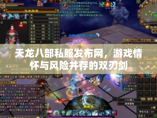 天龙八部私服发布网，游戏情怀与风险并存的双刃剑