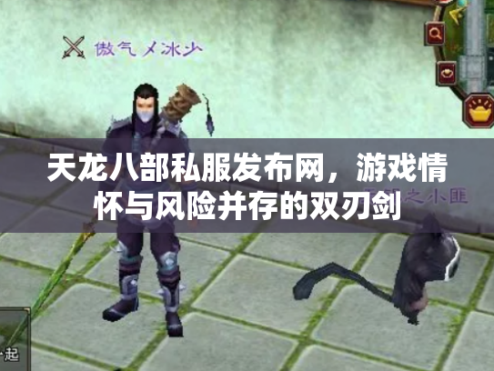 天龙八部私服发布网，游戏情怀与风险并存的双刃剑