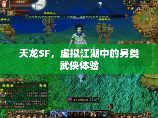 天龙SF，虚拟江湖中的另类武侠体验