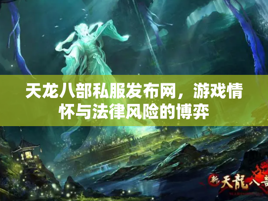 天龙八部私服发布网，游戏情怀与法律风险的博弈