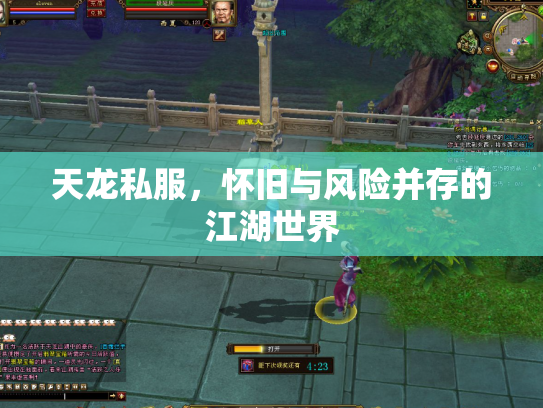 天龙私服，怀旧与风险并存的江湖世界