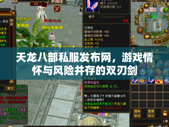 天龙八部私服发布网，游戏情怀与风险并存的双刃剑