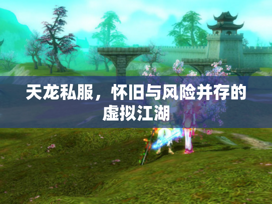 天龙私服，怀旧与风险并存的虚拟江湖