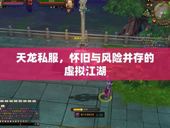 天龙私服，怀旧与风险并存的虚拟江湖