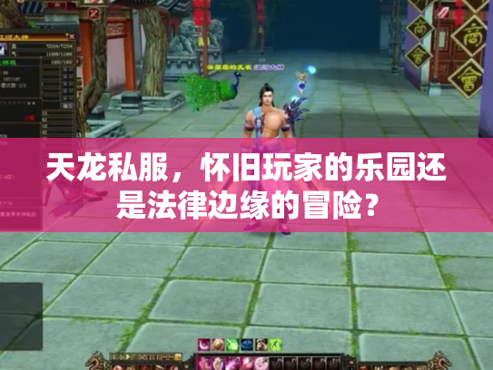 天龙私服，怀旧玩家的乐园还是法律边缘的冒险？