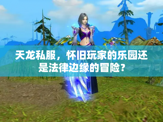 天龙私服，怀旧玩家的乐园还是法律边缘的冒险？