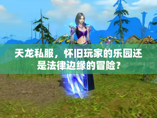 天龙私服，怀旧玩家的乐园还是法律边缘的冒险？