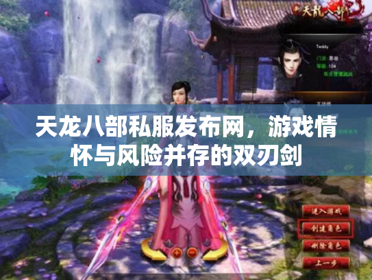 天龙八部私服发布网，游戏情怀与风险并存的双刃剑