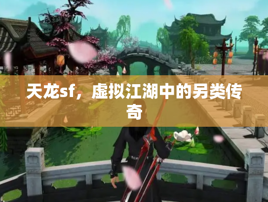 天龙sf，虚拟江湖中的另类传奇