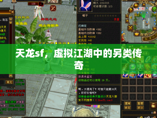 天龙sf，虚拟江湖中的另类传奇