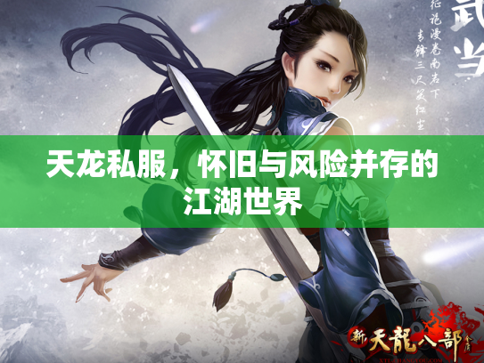 天龙私服，怀旧与风险并存的江湖世界