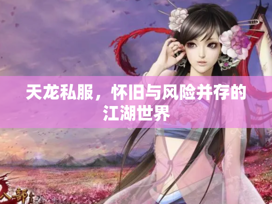 天龙私服，怀旧与风险并存的江湖世界