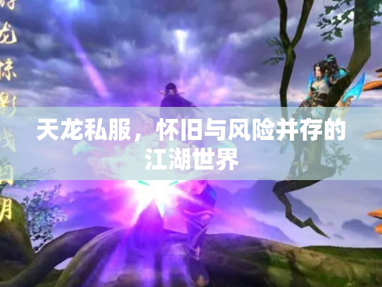 天龙私服，怀旧与风险并存的江湖世界
