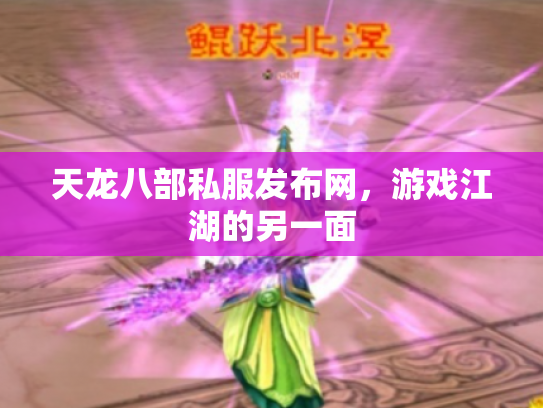 天龙八部私服发布网，游戏江湖的另一面