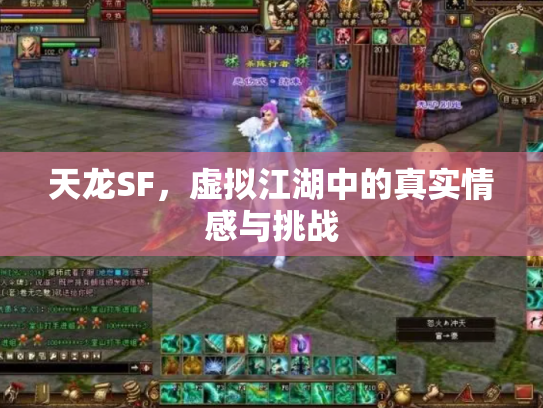 天龙SF，虚拟江湖中的真实情感与挑战