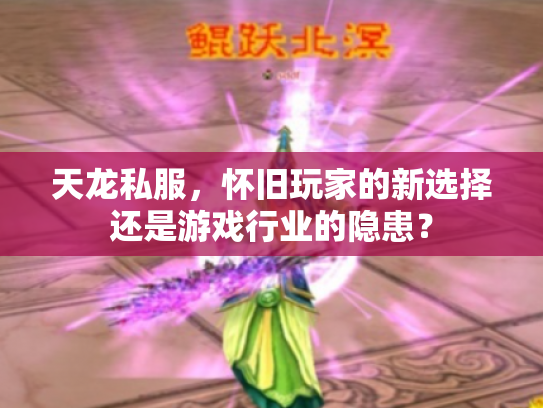 天龙私服，怀旧玩家的新选择还是游戏行业的隐患？