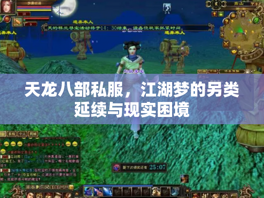 天龙八部私服，江湖梦的另类延续与现实困境