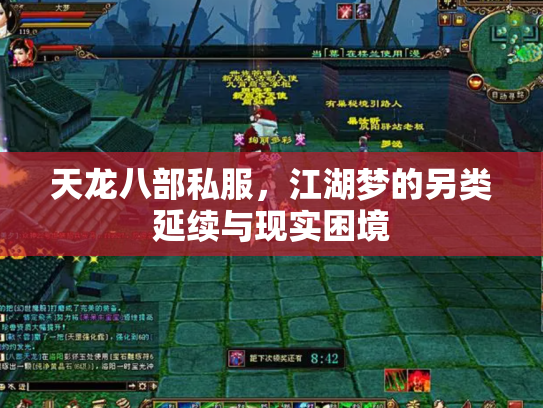 天龙八部私服，江湖梦的另类延续与现实困境