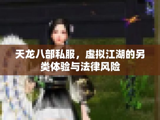 天龙八部私服，虚拟江湖的另类体验与法律风险