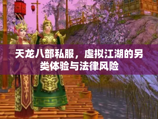 天龙八部私服，虚拟江湖的另类体验与法律风险