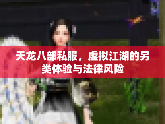天龙八部私服，虚拟江湖的另类体验与法律风险