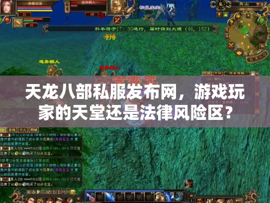 天龙八部私服发布网，游戏玩家的天堂还是法律风险区？