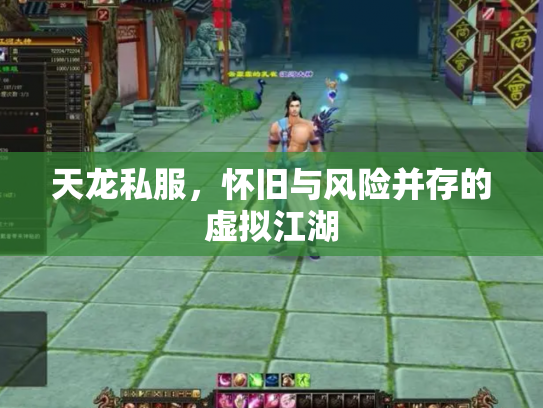 天龙私服，怀旧与风险并存的虚拟江湖