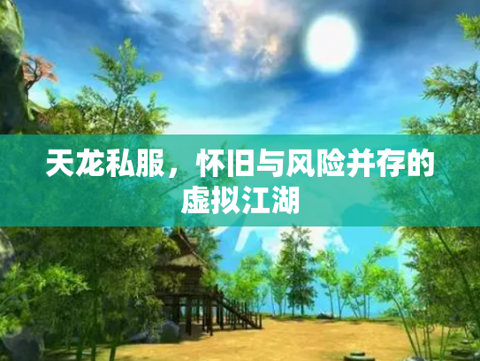 天龙私服，怀旧与风险并存的虚拟江湖