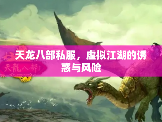 天龙八部私服，虚拟江湖的诱惑与风险