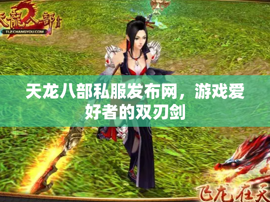 天龙八部私服发布网，游戏爱好者的双刃剑
