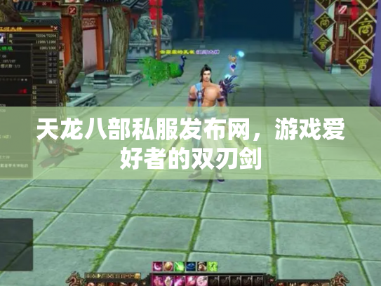 天龙八部私服发布网，游戏爱好者的双刃剑