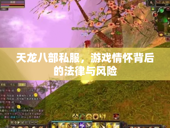 天龙八部私服，游戏情怀背后的法律与风险
